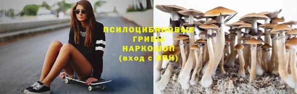 прущая мука Нея