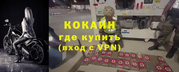 сатива Нефтекумск