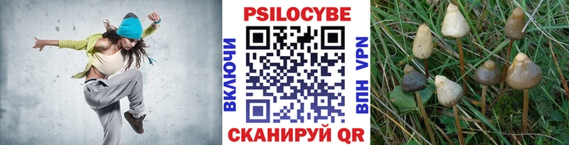 Псилоцибиновые грибы Cubensis  OMG зеркало  Мытищи 