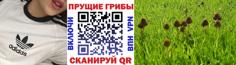 Галлюциногенные грибы мухоморы Мытищи